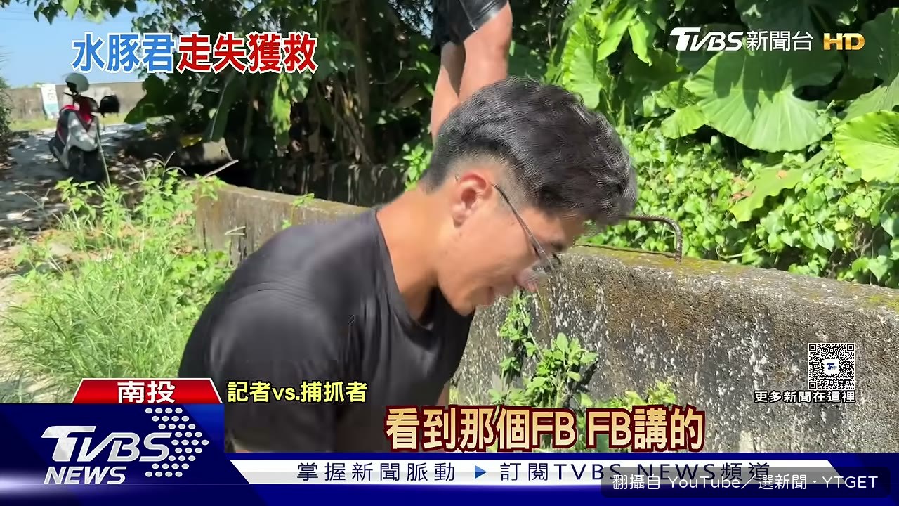 水豚飼養成本與空間需求