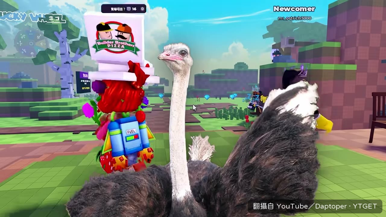 鴕鳥先來一段鴕鳥叫