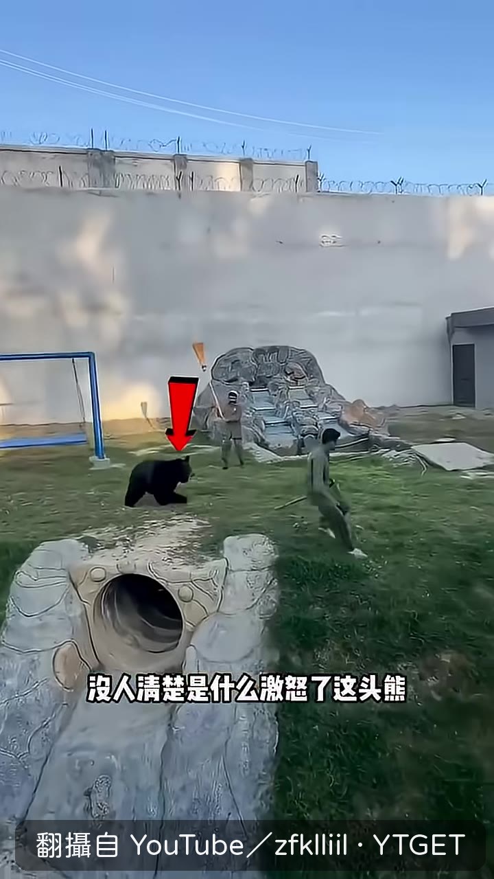 黑熊猛然起身追趕男子