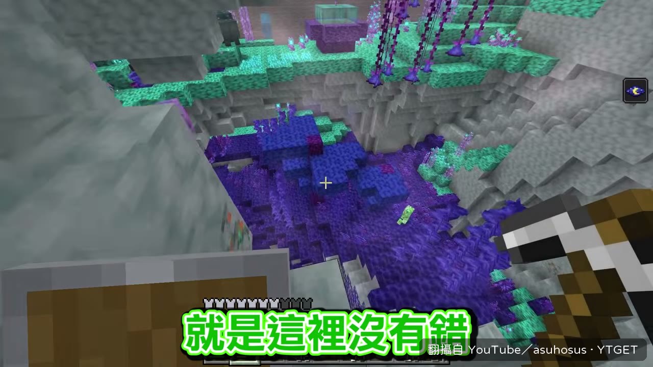 巨大水母飄過來,屍體帶劇毒
