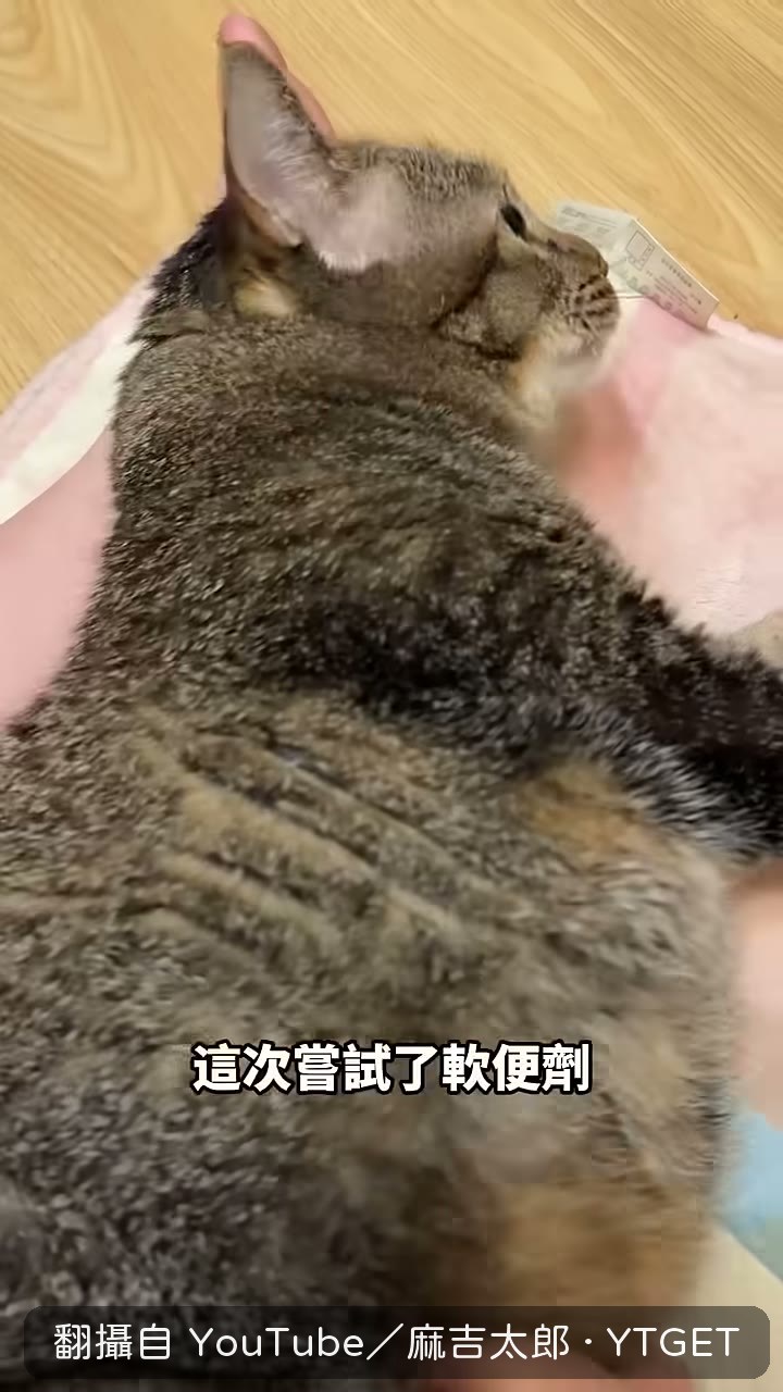 先試軟便劑,效果不太好