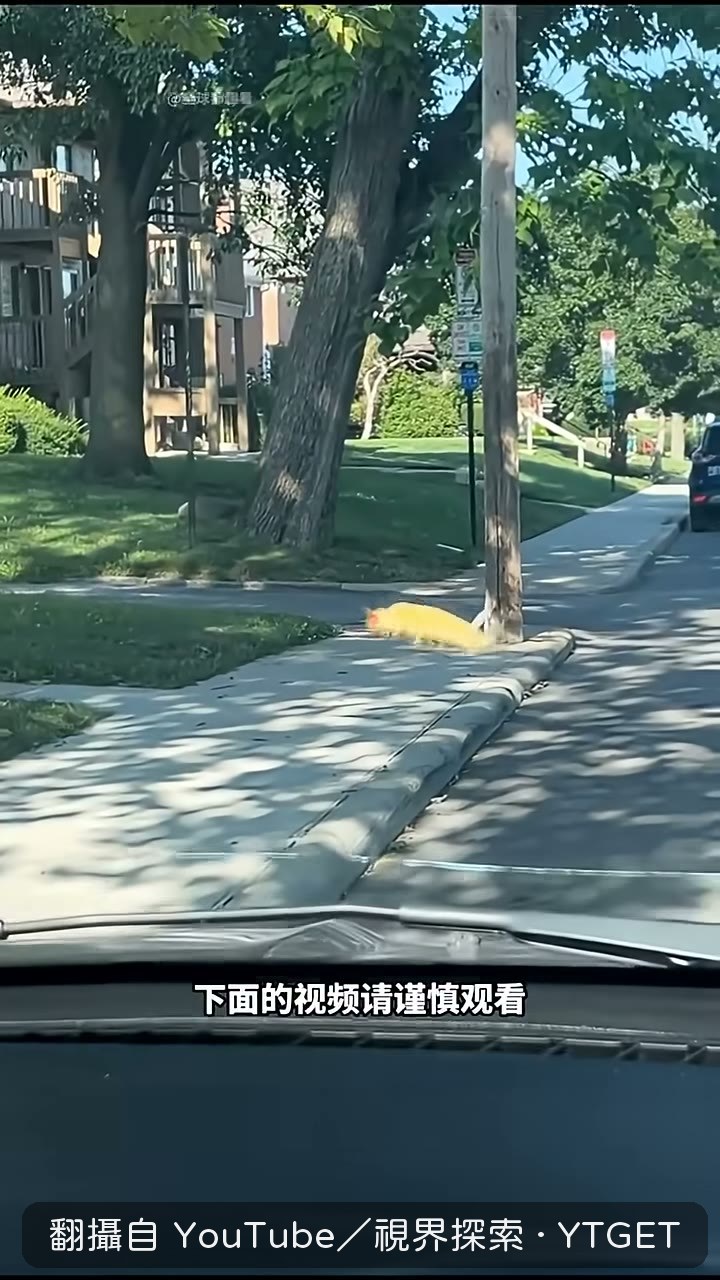 以為五個人在車上，其實只有一個