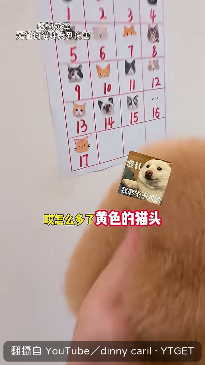 披薩衣服上多了一顆黃色貓頭