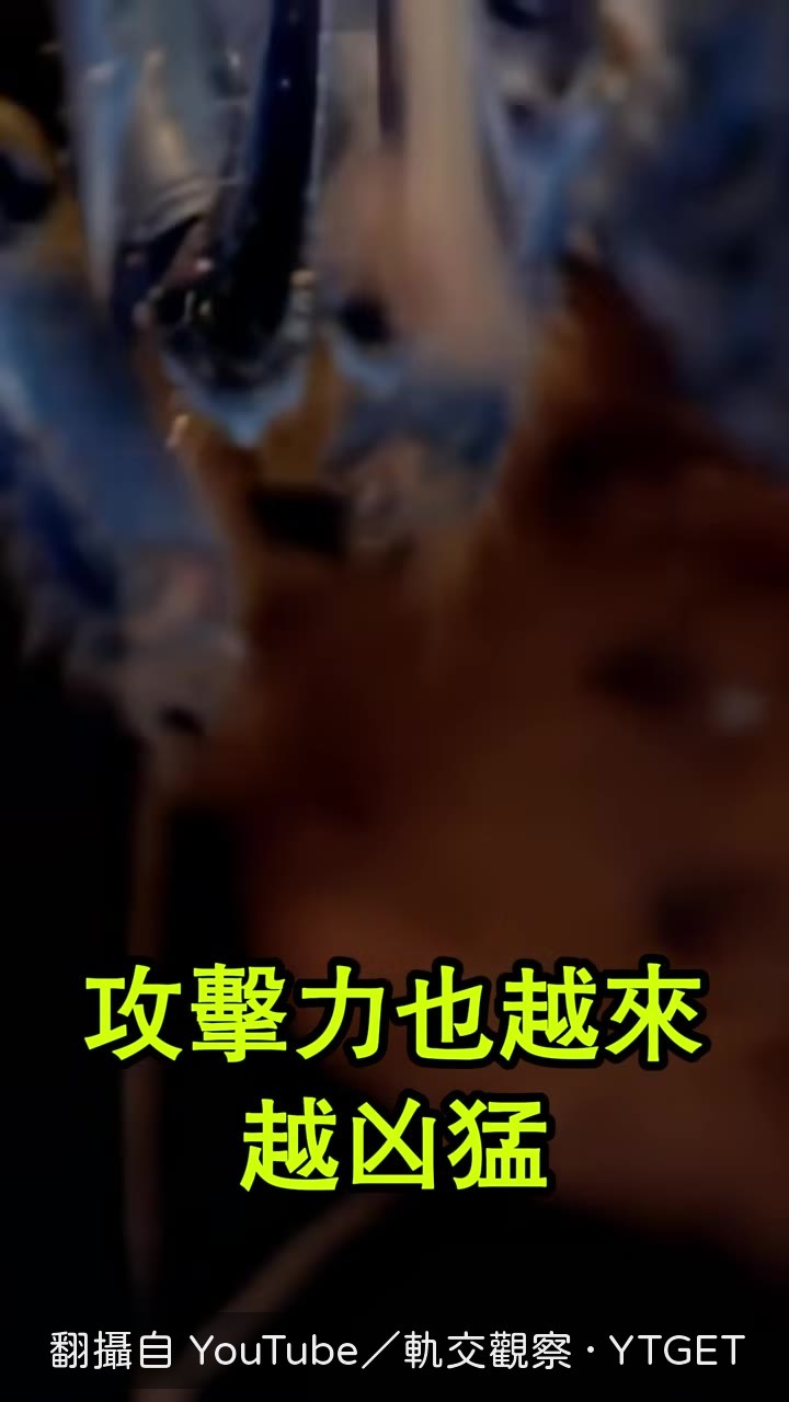 探險家手電筒照到巨蟲當場嚇傻