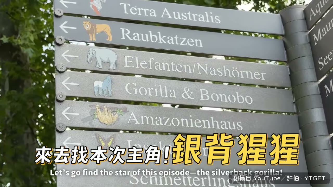 銀背猩猩館的戶外場地