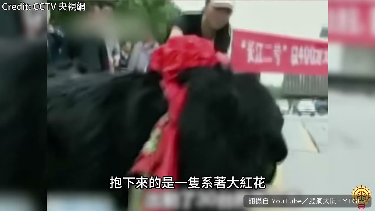 長江二號繫著大紅花被抱下車