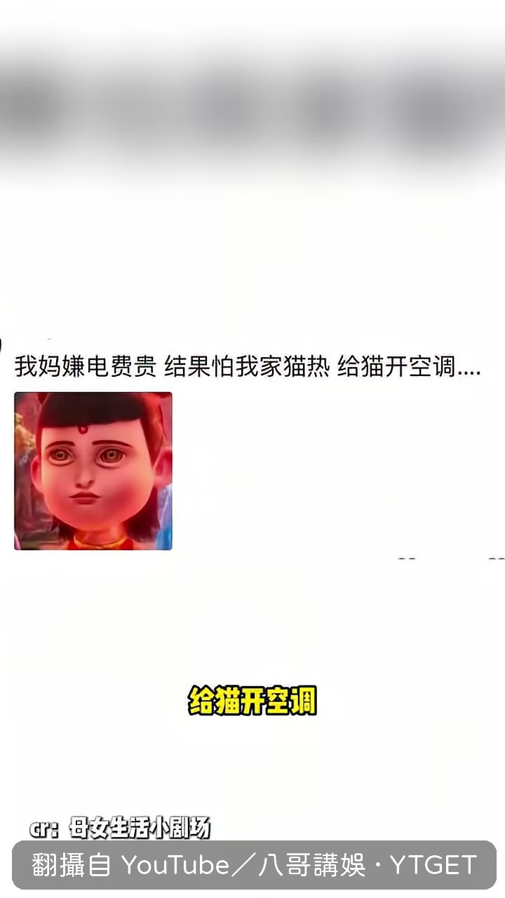 媽媽讓老公對貓好一點