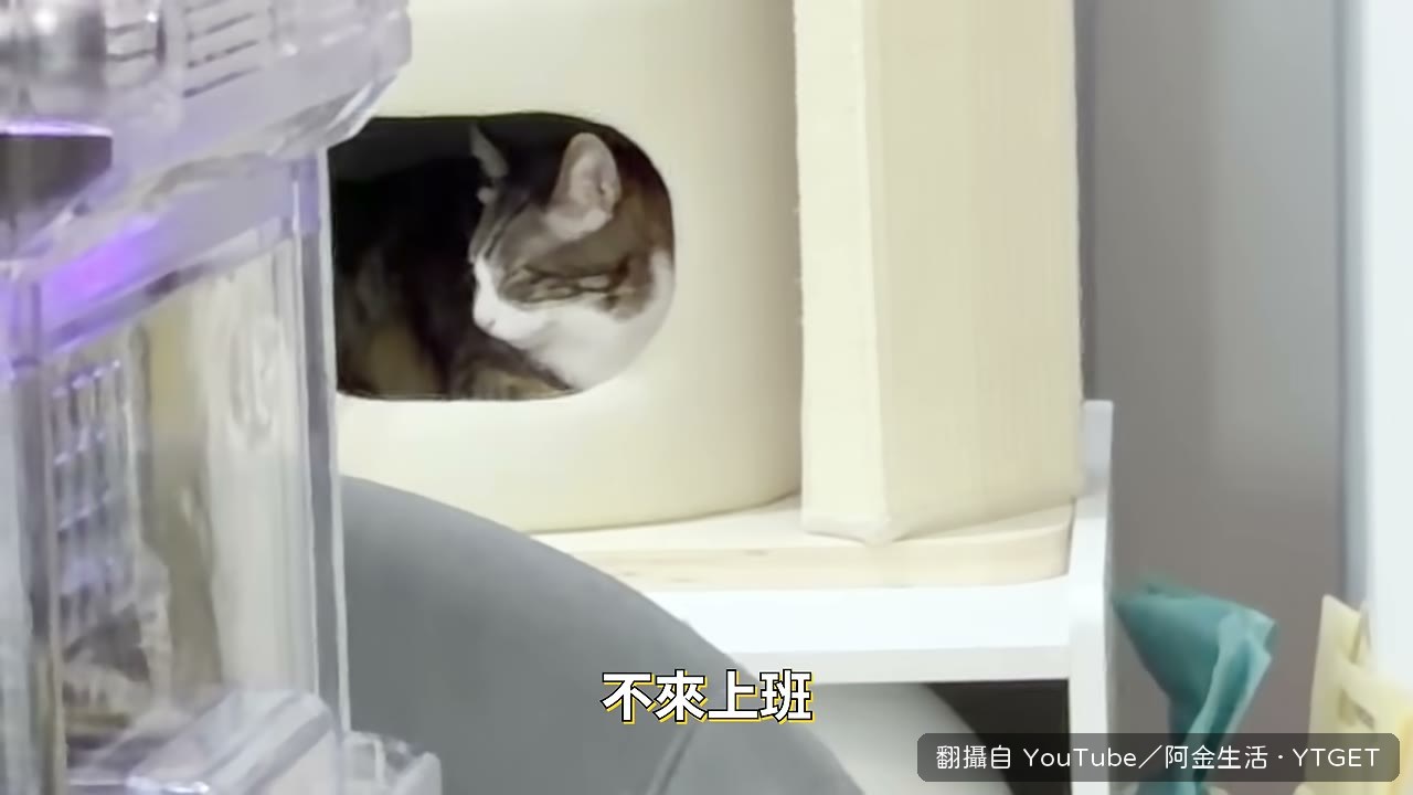 按下 DEMO 模式，車位開始隨機調換