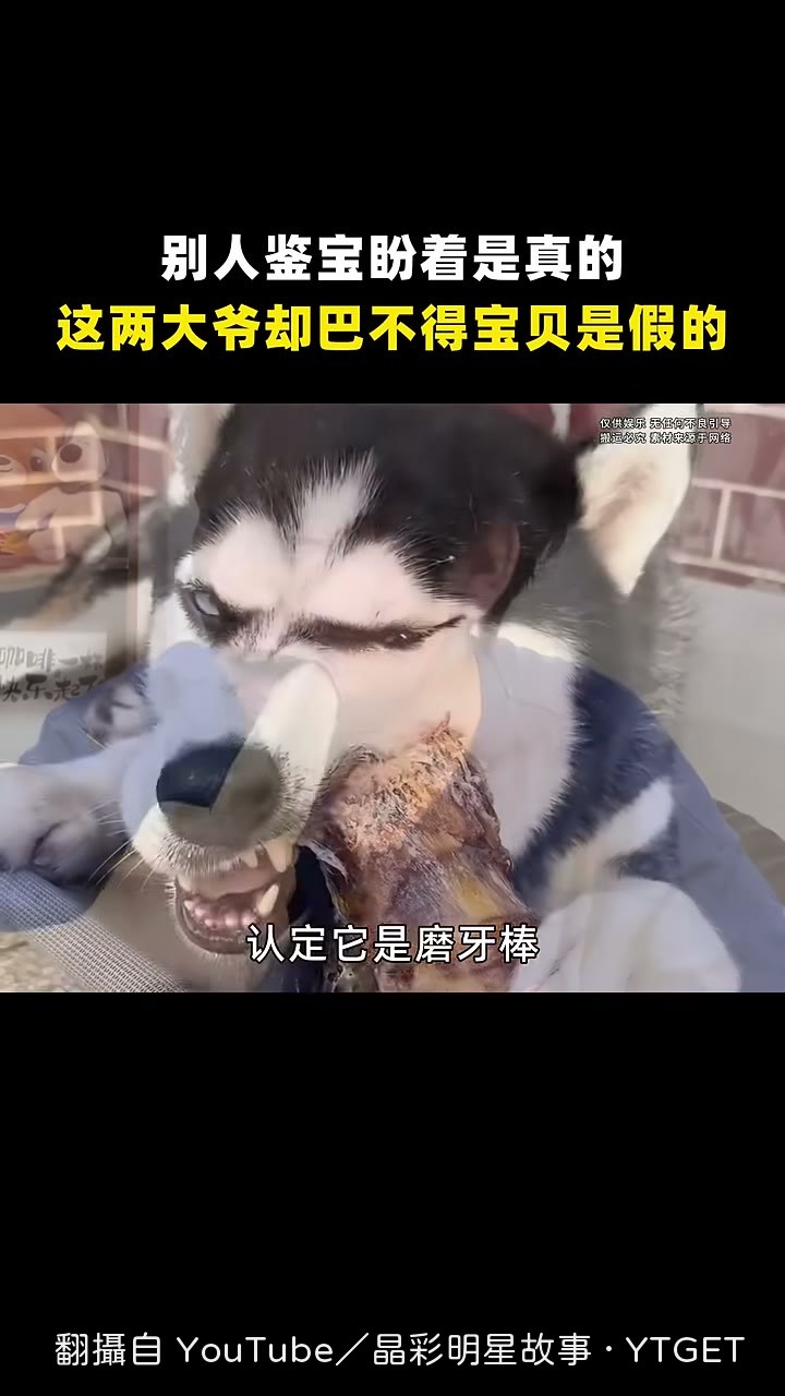 大爺把祖傳寶貝當磨牙棒天天用