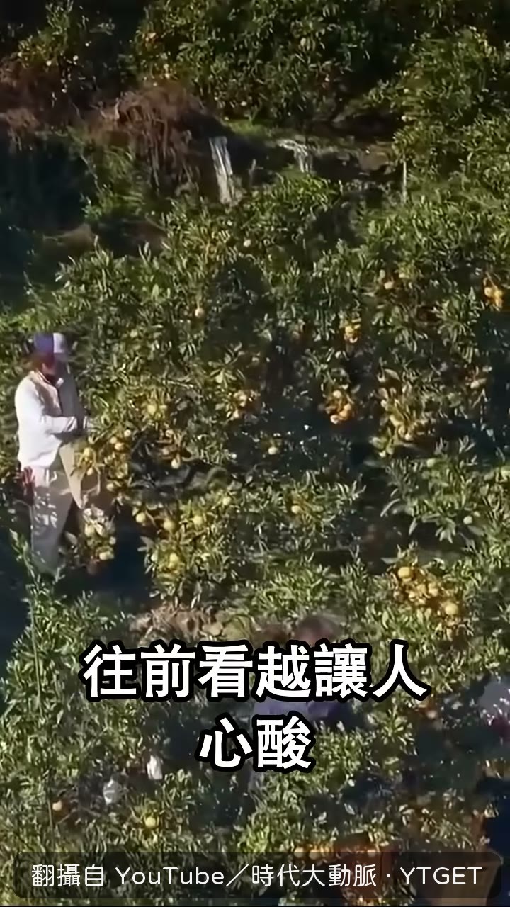 第十名農林漁牧，果園滿果卻沒人採