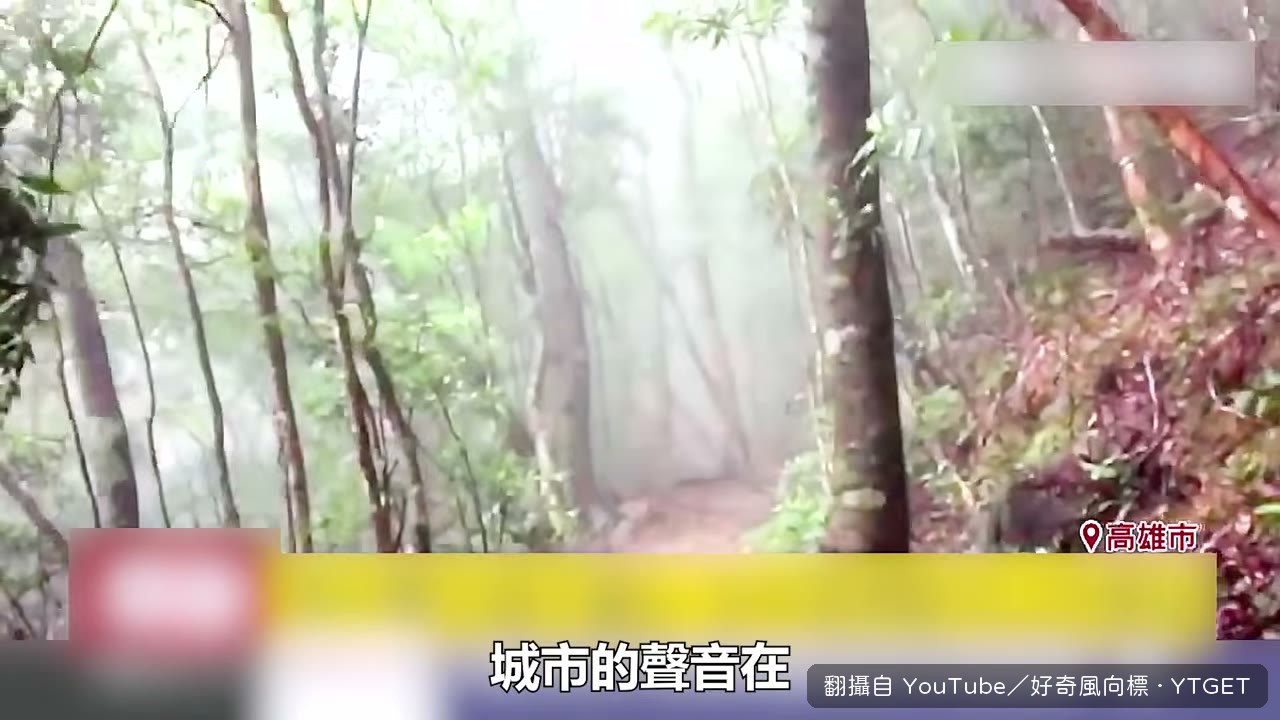 一走進去,城市聲音幾分鐘內消失