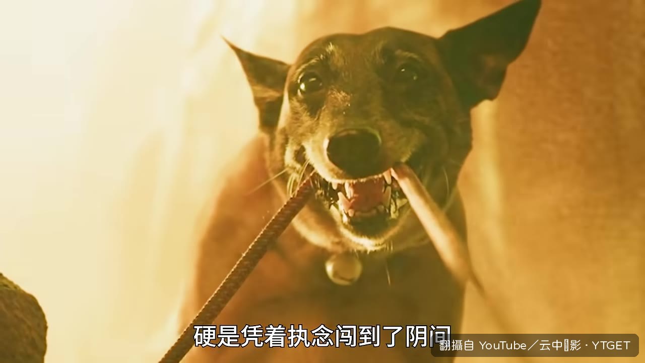 阿魯咬著紅線，硬是把兩人從地牢拉出來