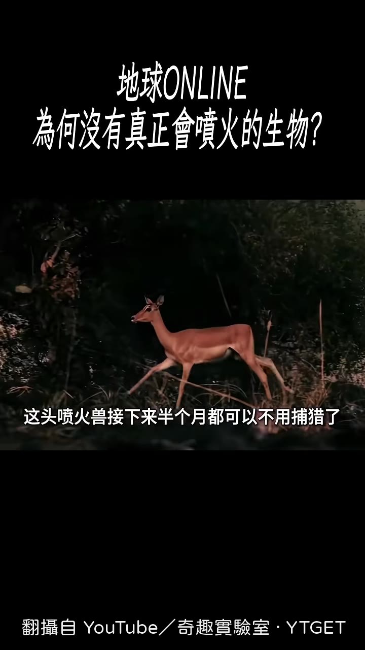 燒光獵物之後遍地都是熟人