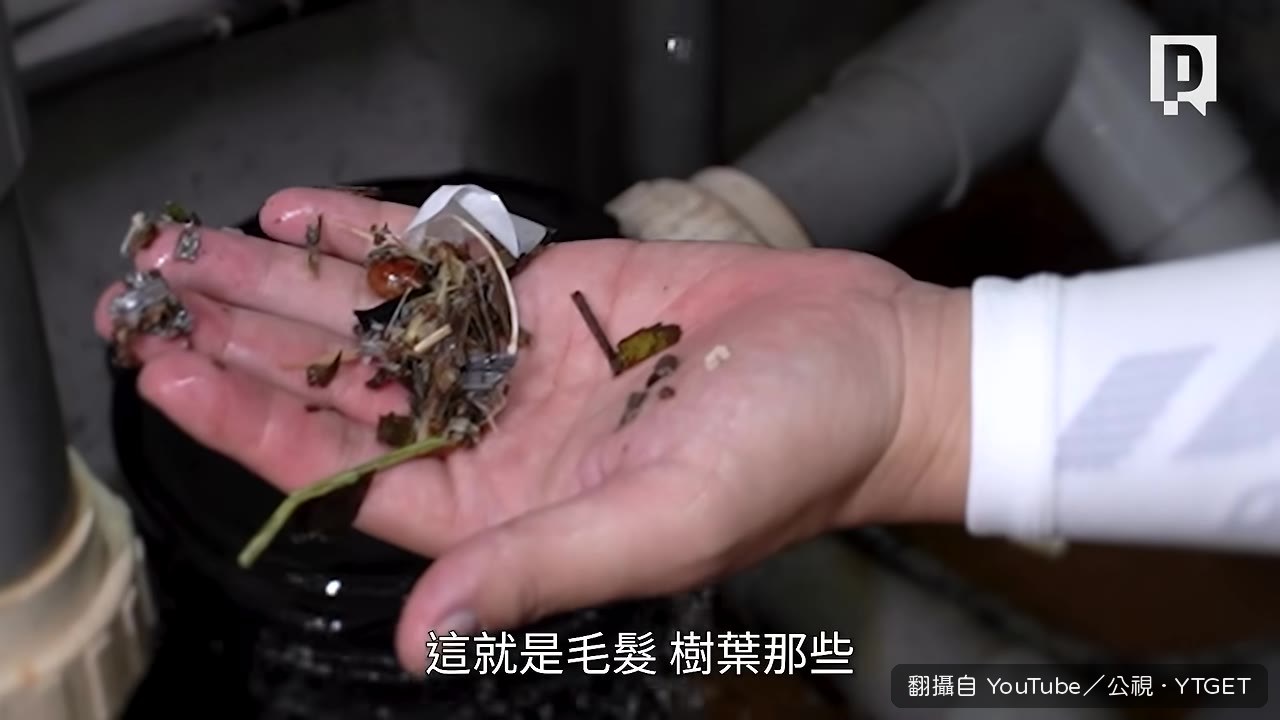 除毛器過濾掉毛髮和樹葉