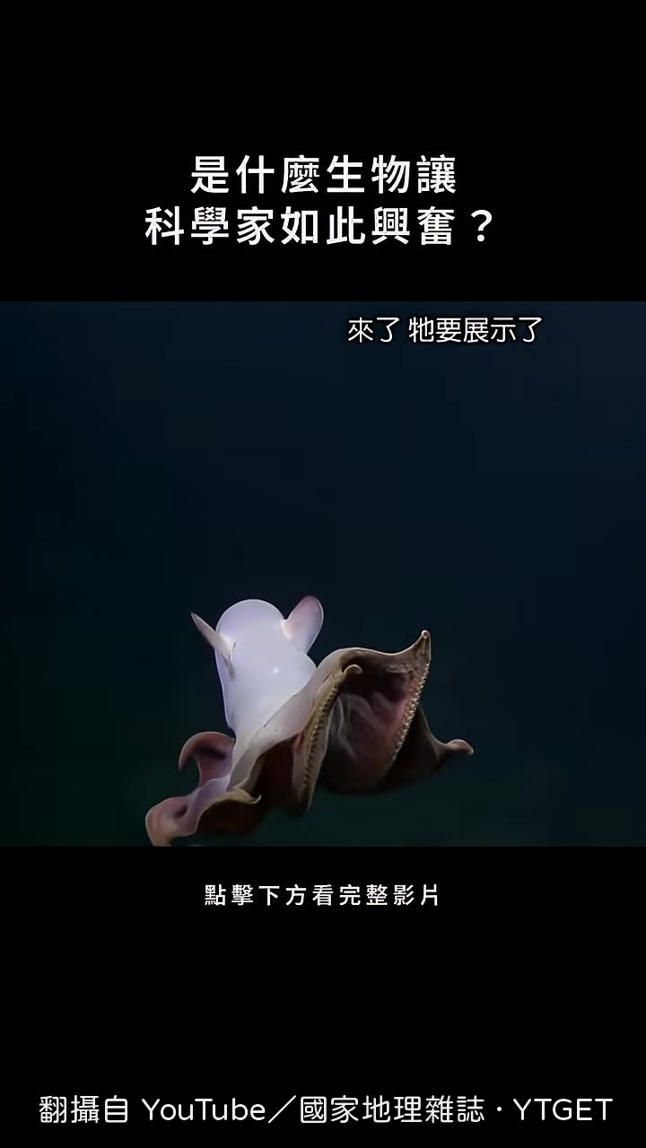 科學家讚嘆拍得真好