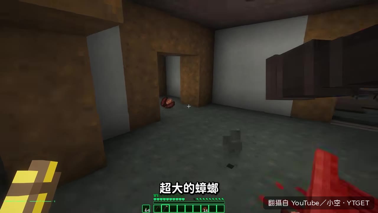 超大蟑螂嚇到所有人