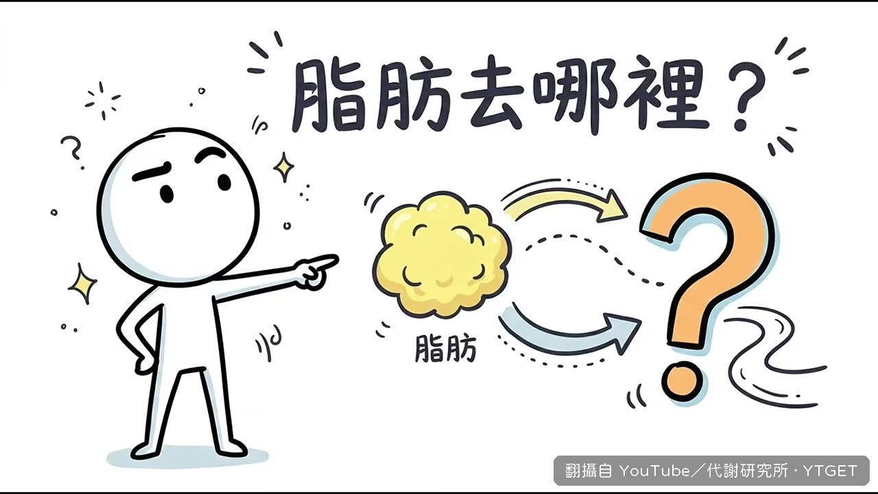脂肪氧化後大部分變成二氧化碳