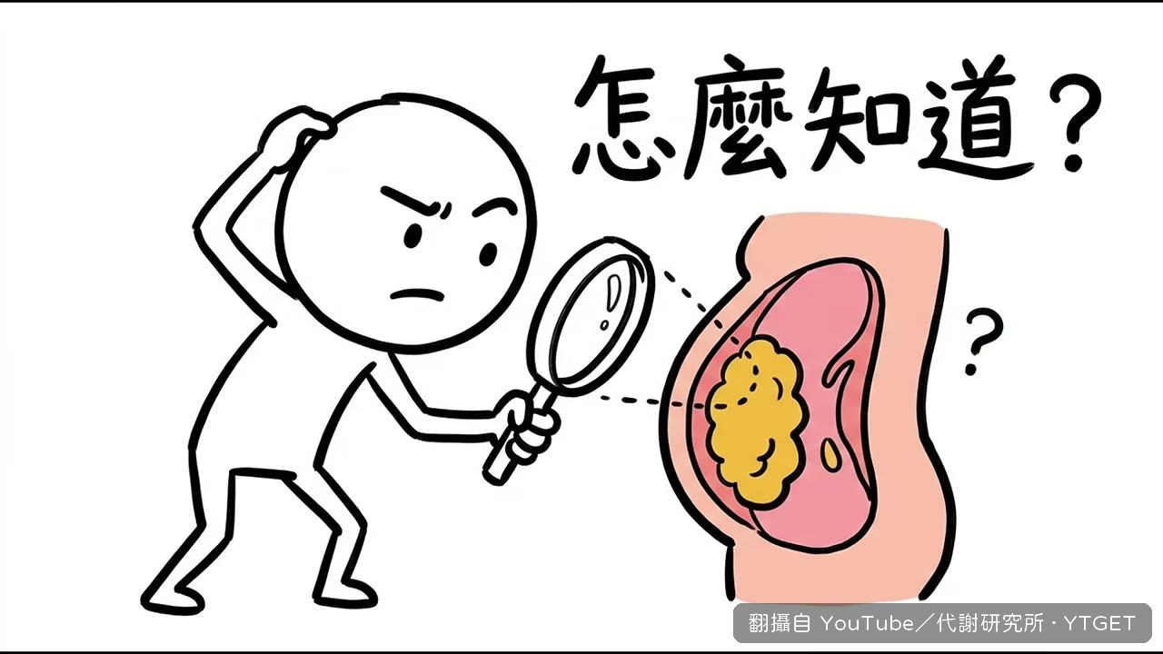 量腰圍要固定時間與方法