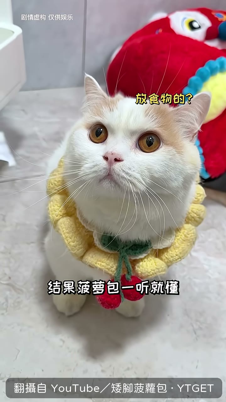 菠蘿包用冰箱做出貓條冰棍