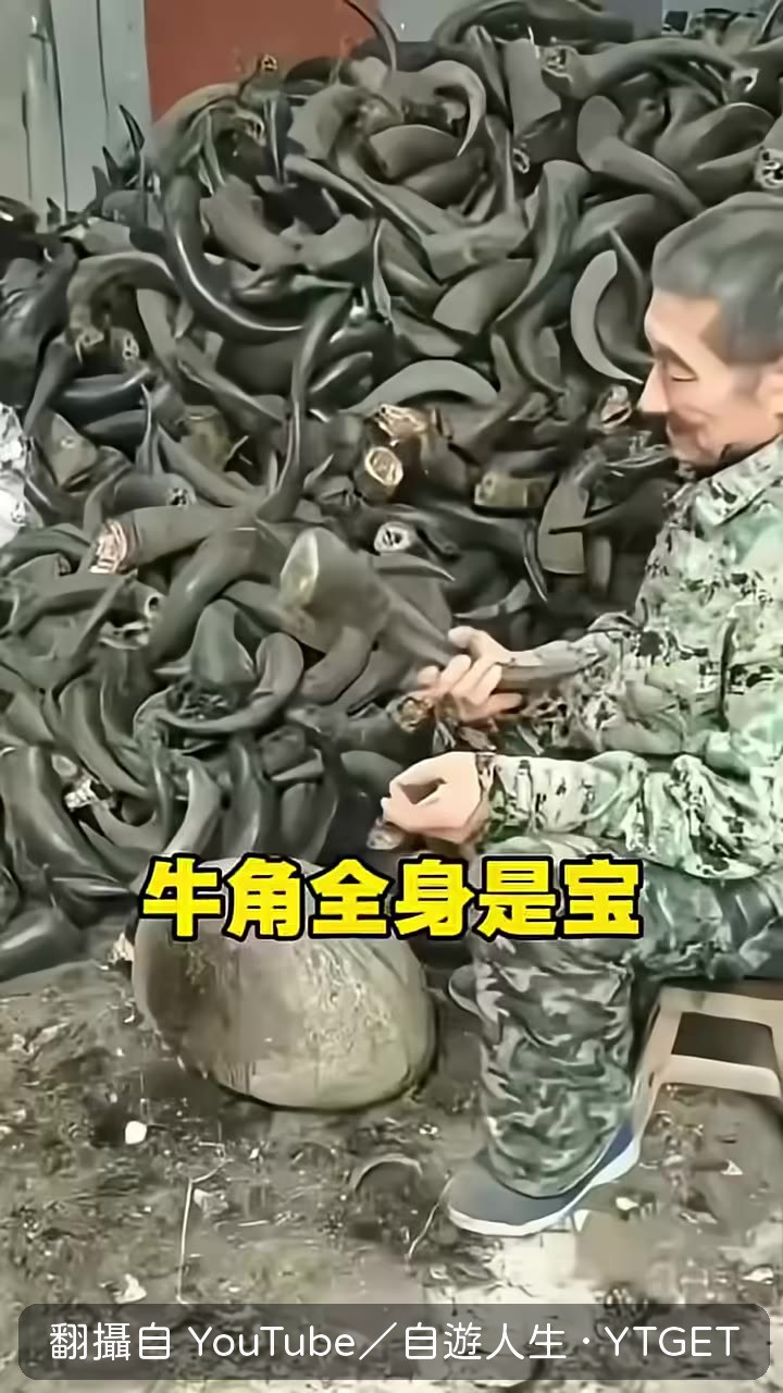 牛角用力敲在石頭上