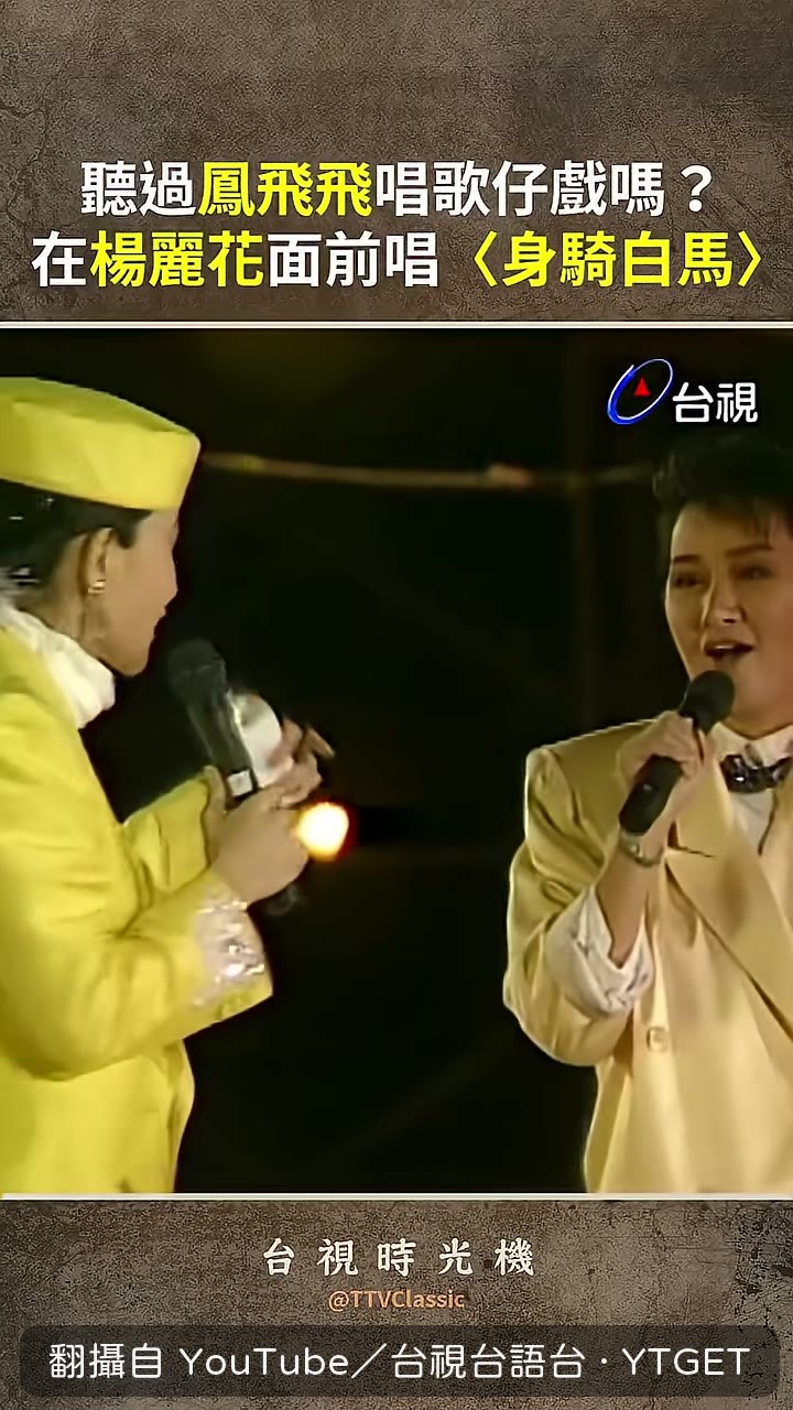楊麗花一句話要她降點水準