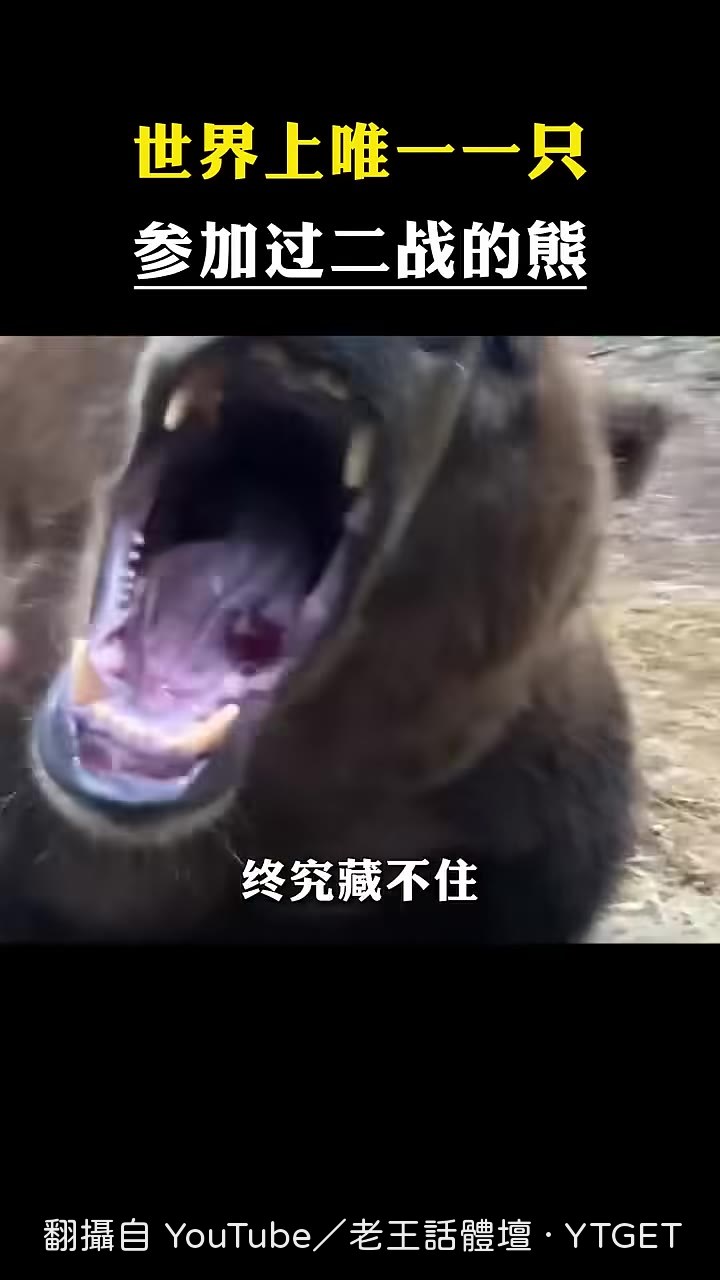 長官發現士兵偷養小熊