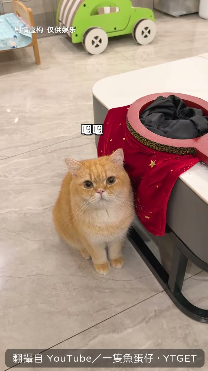 房東突然上門查房