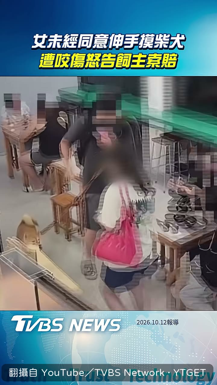 婦人未經同意伸手摸柴犬
