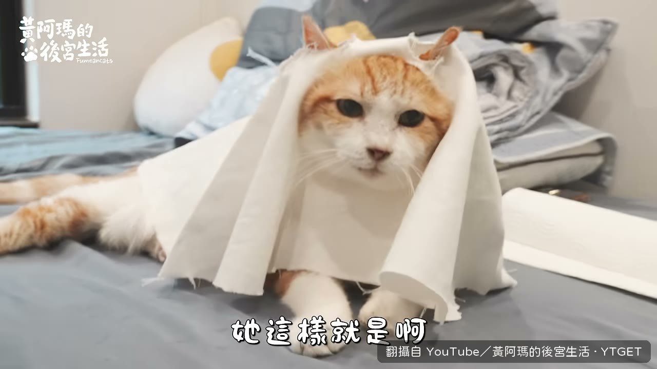 KIMI穿著幽靈裝睡著