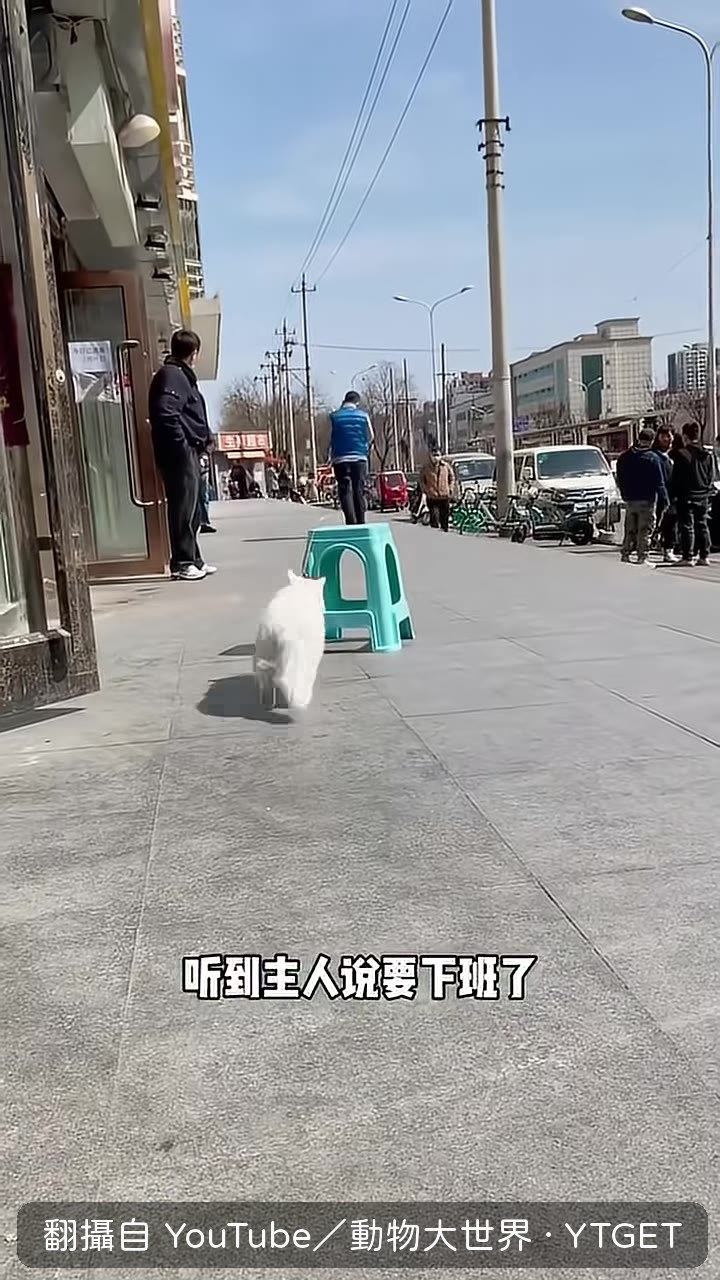 鹿玉咬著凳子往店裡拖
