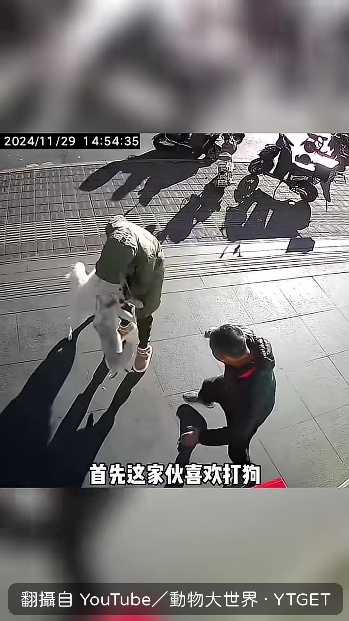 鹿玉給路過小狗一個大逼鬥