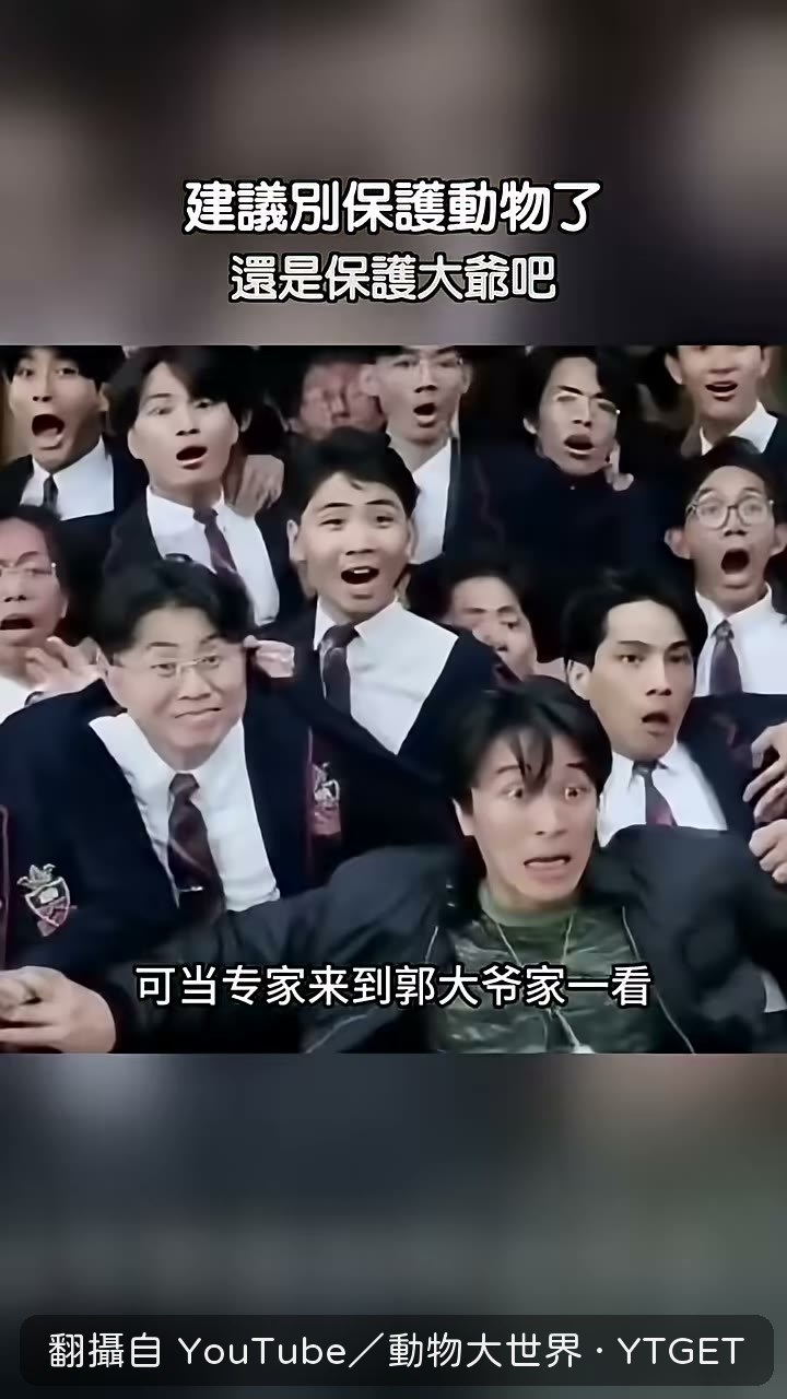 專家上門一看,驚呼這哪是鳳凰