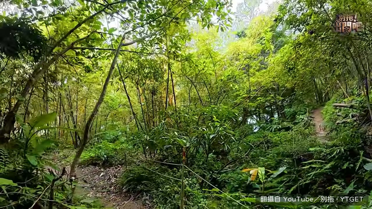 走進園區邊緣的廢墟廁所