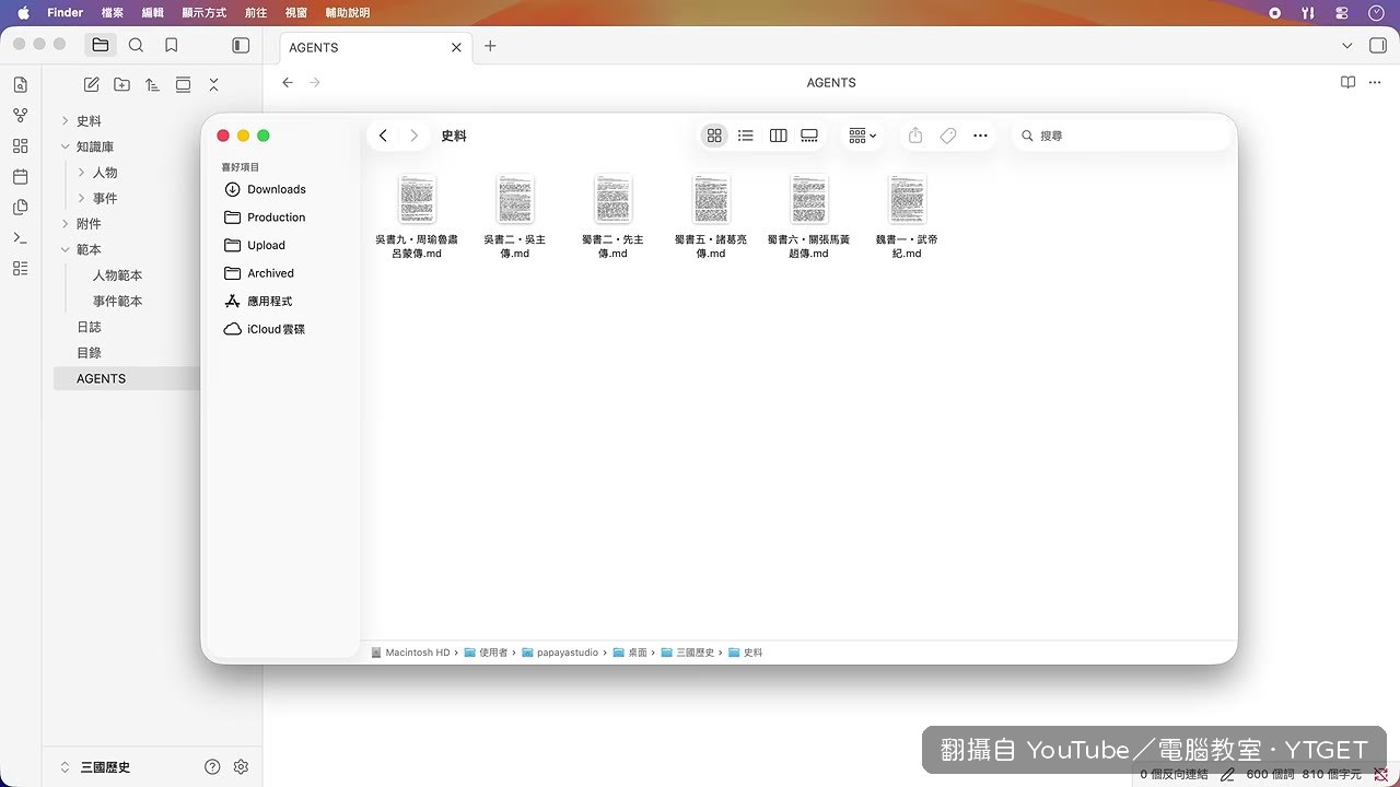 Codex 連結到 Obsidian 儲存庫