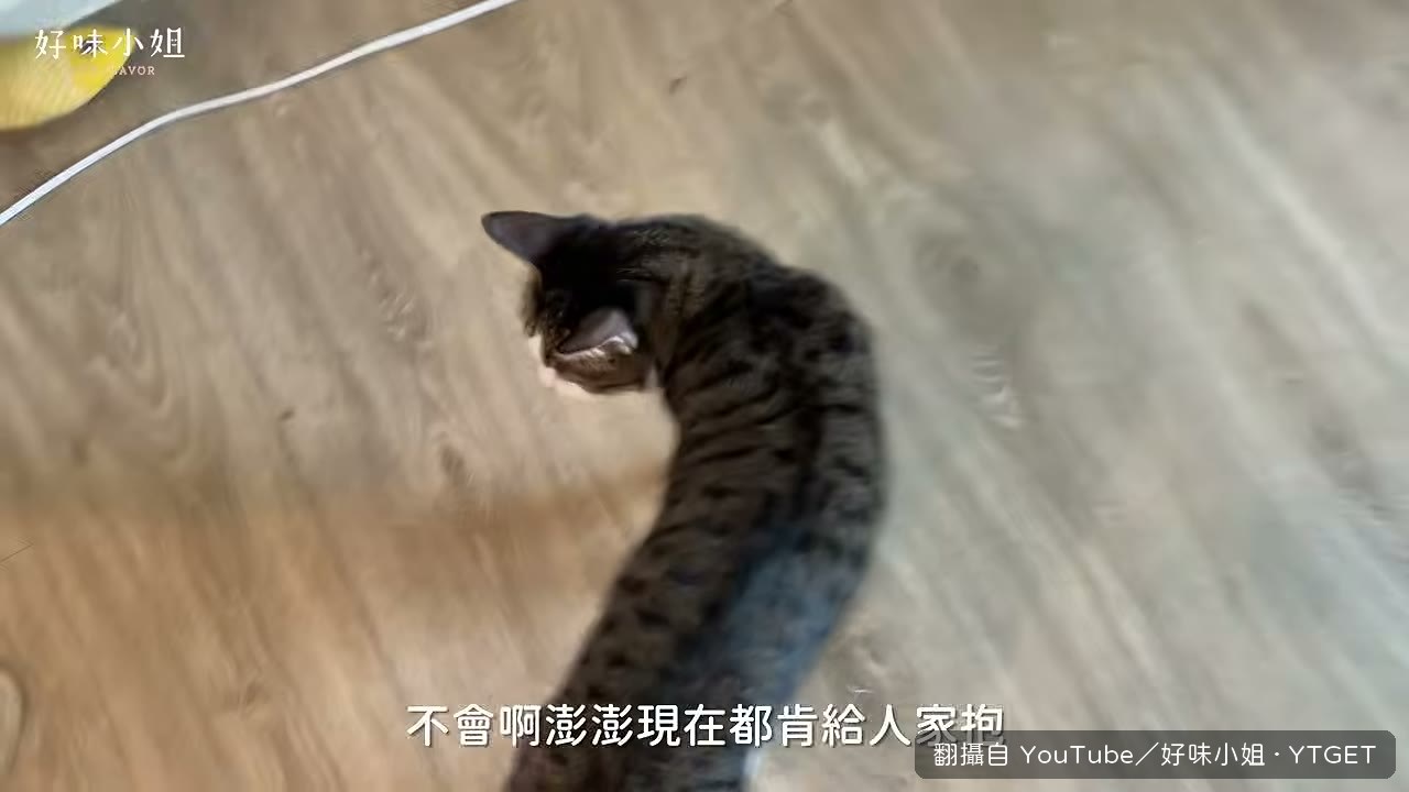 澎澎現在肯給人抱了