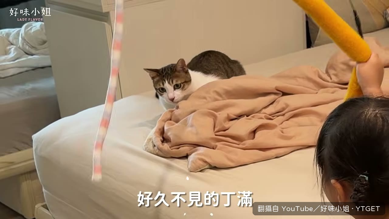 丁滿被說變胖了
