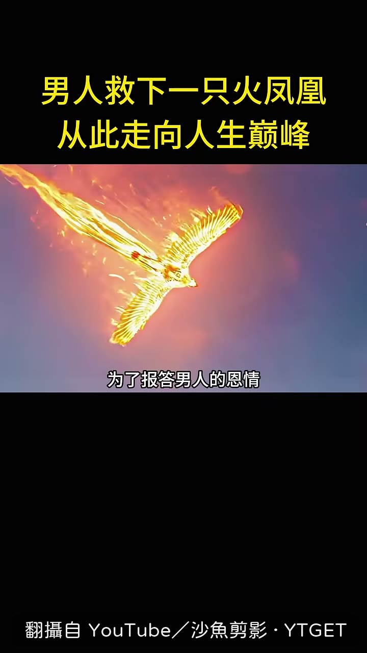 鳳凰留下原始真魚報恩