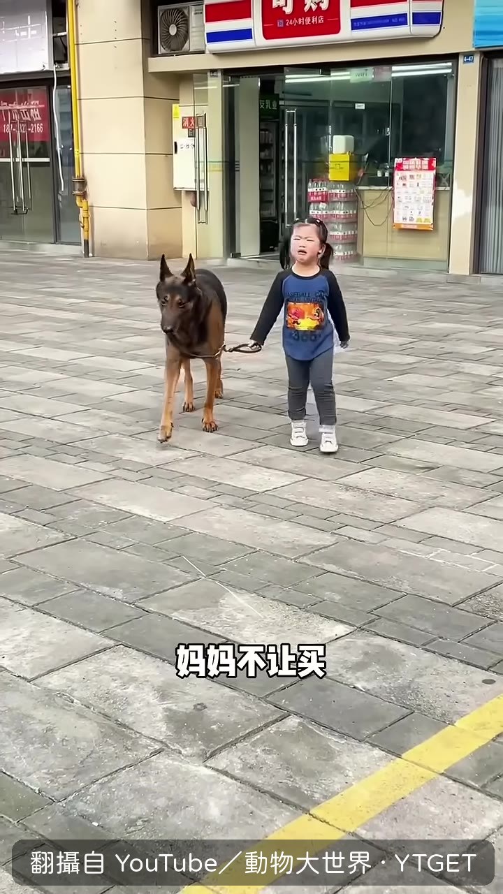 天歌被拉去超市付錢的表情