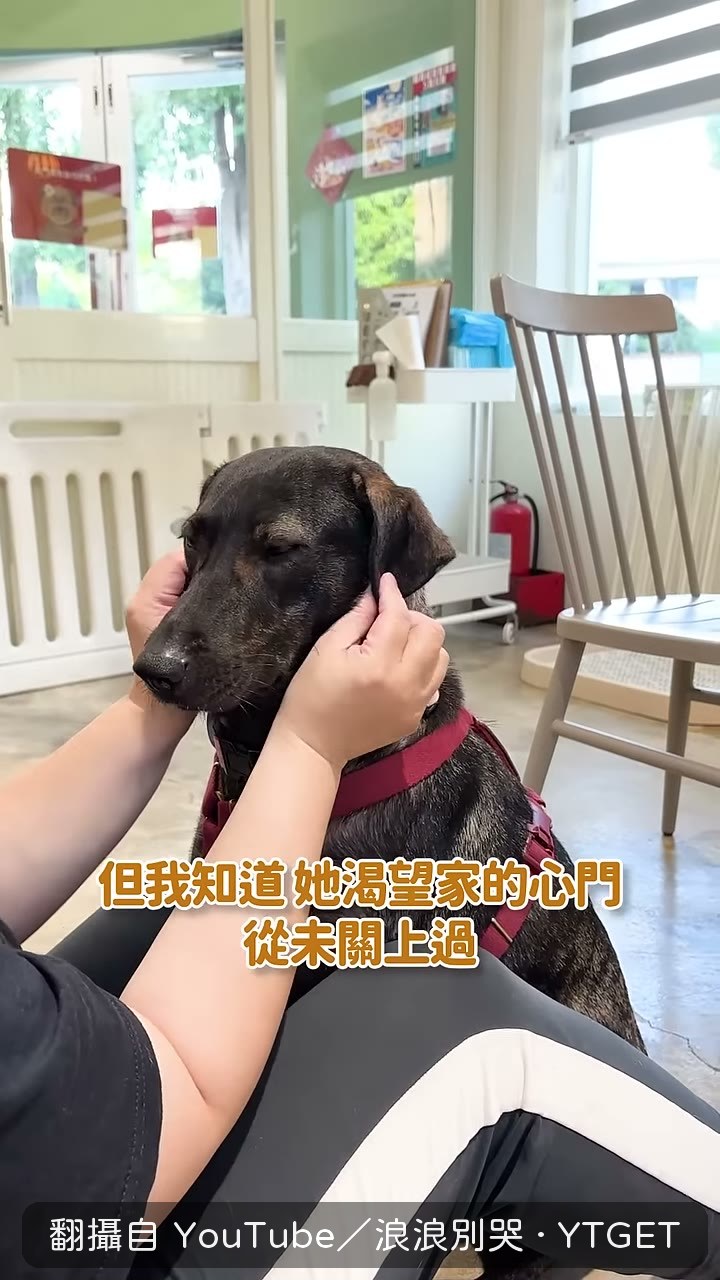 極光花了兩年才鼓起勇氣