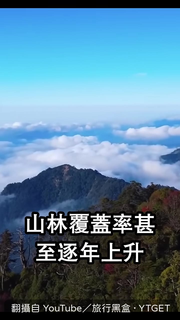 2024年研究估算，全台38%土地適合雲豹生存