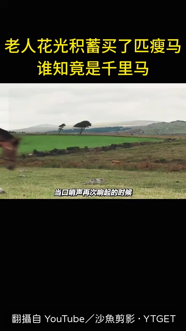 喬一聽到口哨飛奔而來