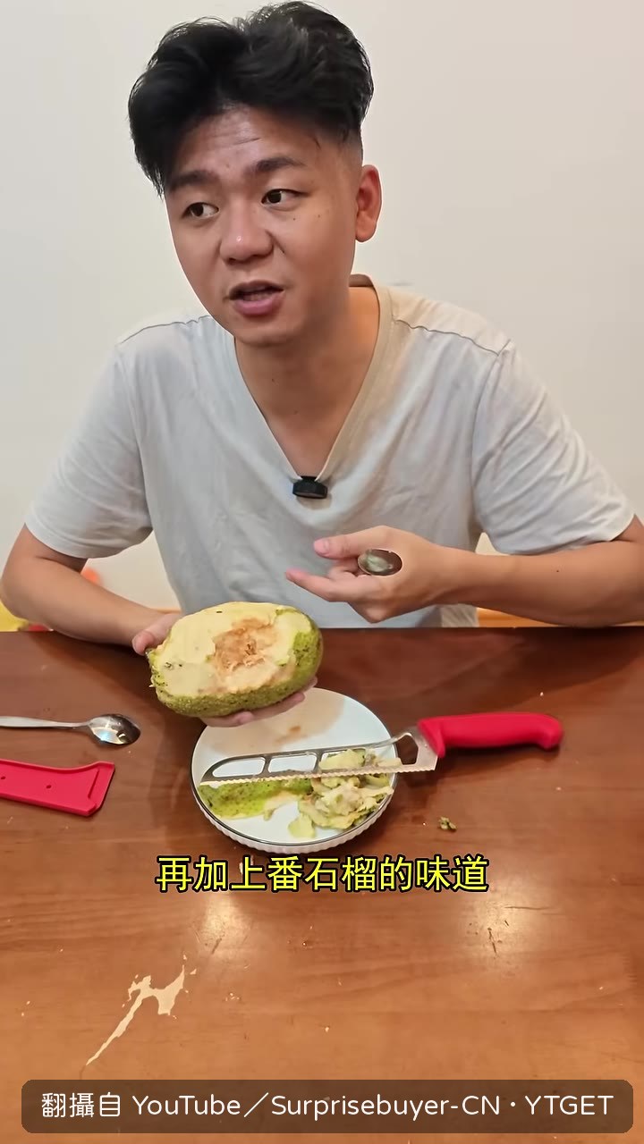 切開看內部纖維