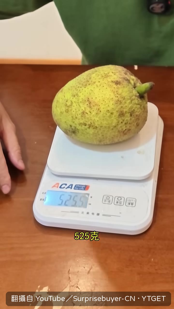 108人民幣的麵包果