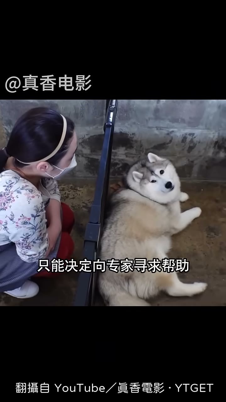 專家摸半天找不到脖子
