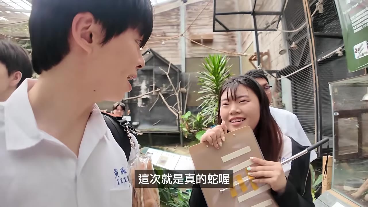 飼養員拿出球蟒讓大家摸