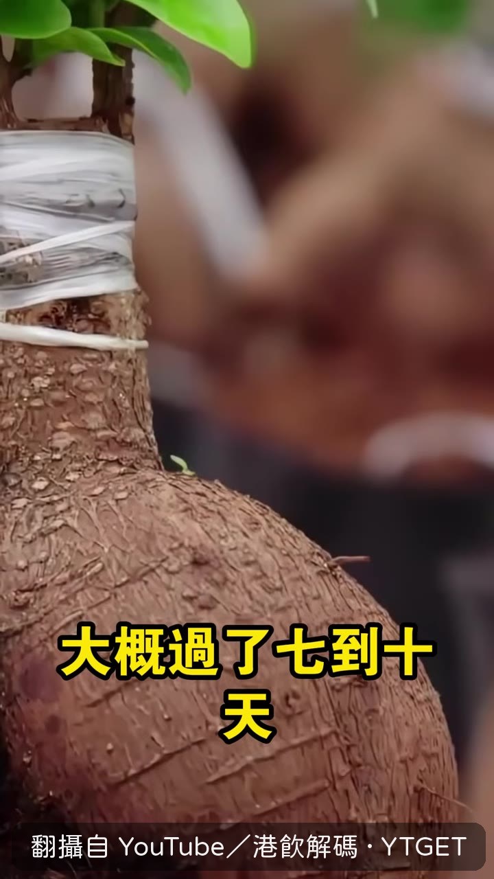 嫁接成功，西瓜南瓜合體成超級植物