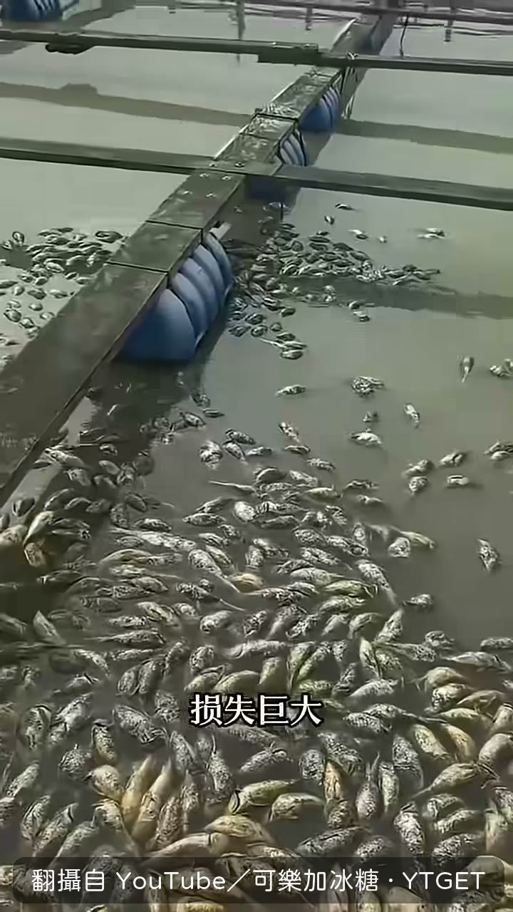 國信一號船體規模與養殖艙配置