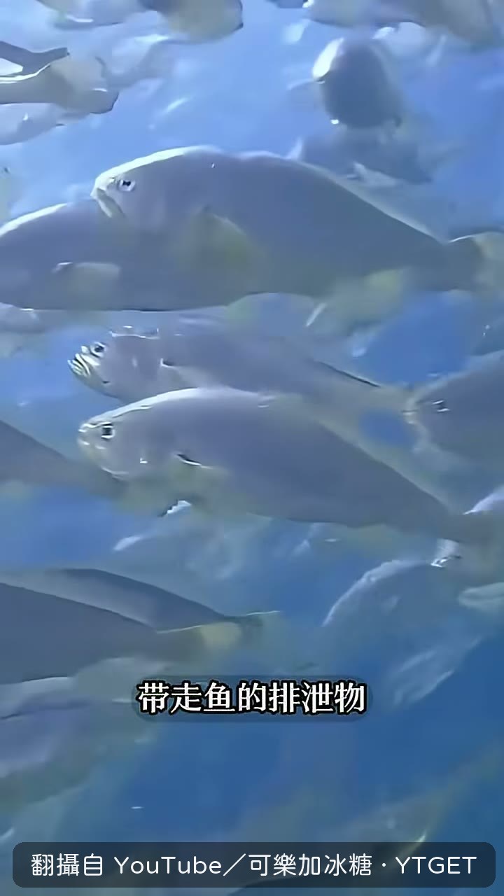 艙內製造漩渦集中排洩物