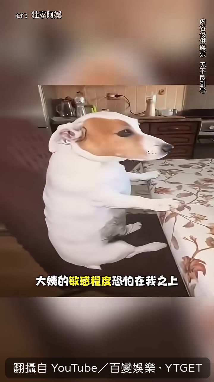 大叔路過五秒鐘，大姨腦內跑完一部劇