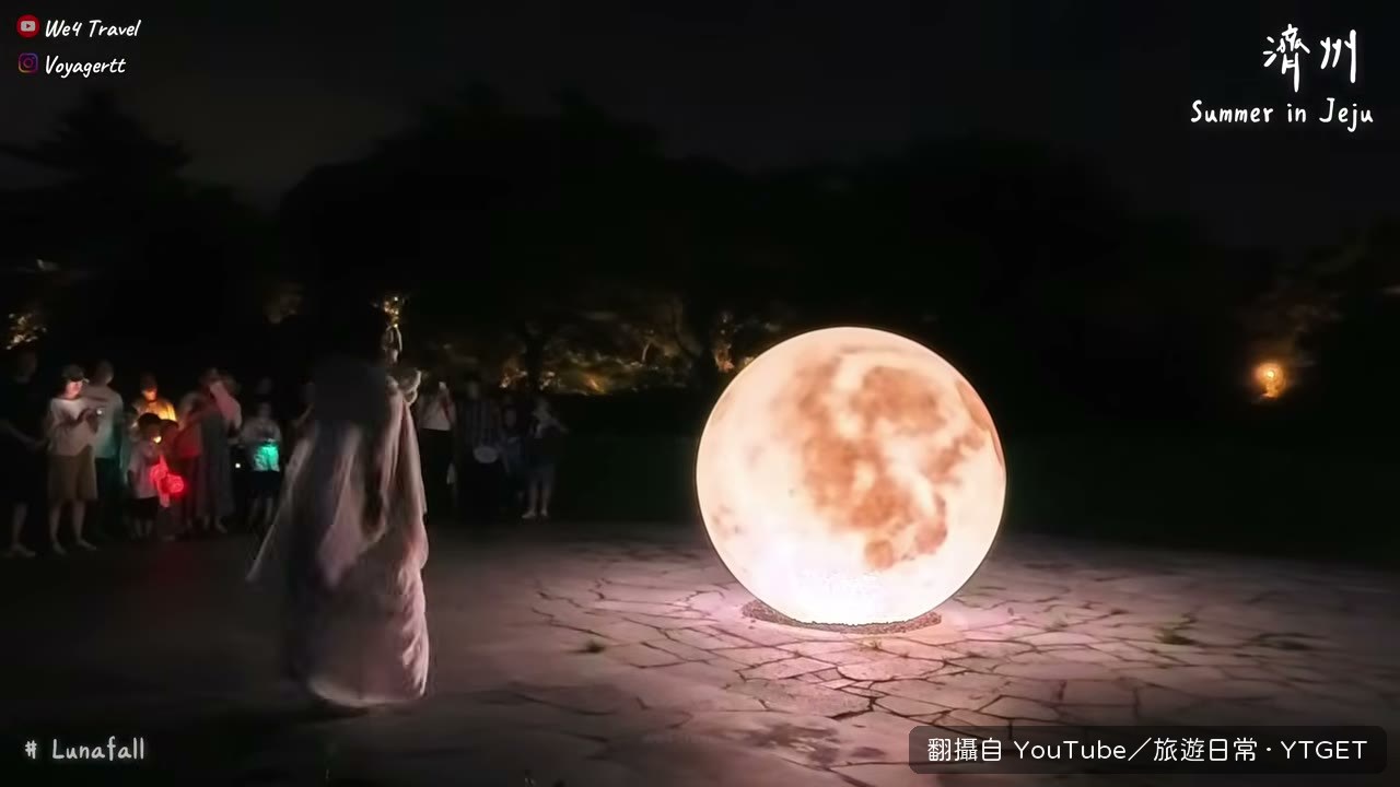 走進燈光投影的森林